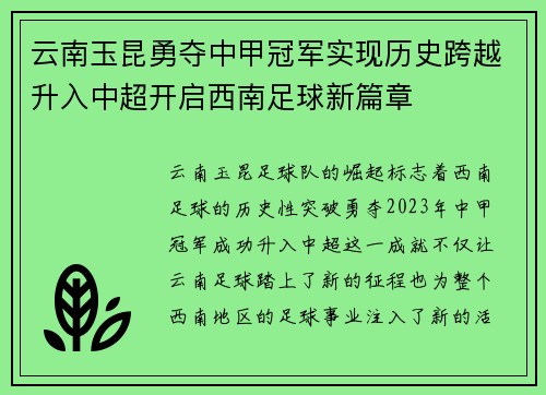 云南玉昆勇夺中甲冠军实现历史跨越升入中超开启西南足球新篇章